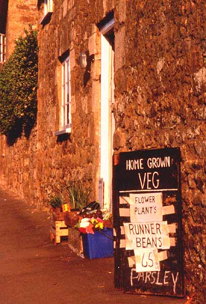 Abbotsbury - vegetables for sale, by Andrew Green