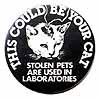 Stolen Pets are Used in Laboratories